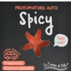 Auto parfum Spicy