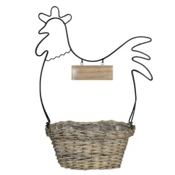 Bloemen/planten houder kip