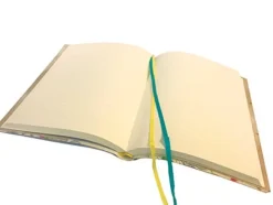 Daphne's Dairy Dagboek