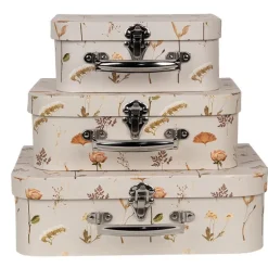 Decoratie kofferset (3) droogbloemen