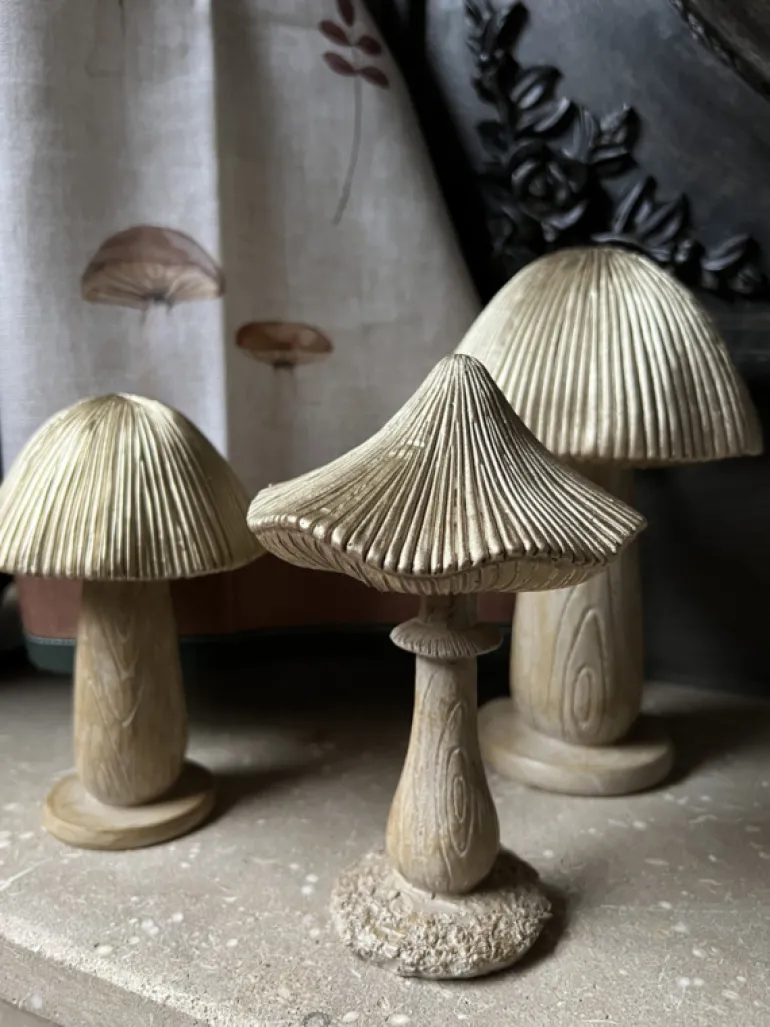 Decoratie paddenstoel 13*20