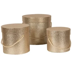 Hoedendoos set van 3 goud/glitter