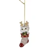 Kerst decoratie hanger Kerstsok met kat
