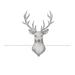 Papieren servetten wit (20) hert