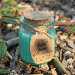 Sojakaars in glazen pot Appel en Kaneel