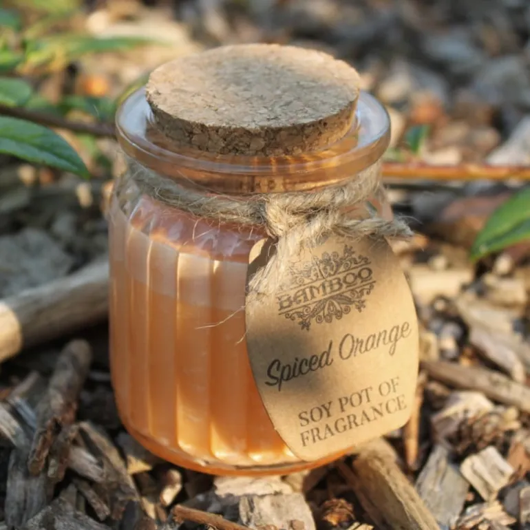 Sojakaars in glazen pot Gekruide Sinaasappel