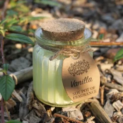 Sojakaars in glazen pot Vanille