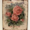 Tekstbord / wandplaat Scott’s Roses 20*25