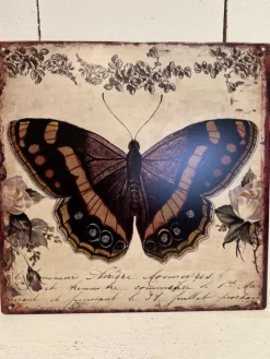 Tekstbord / wandplaat Vlinder 30*30